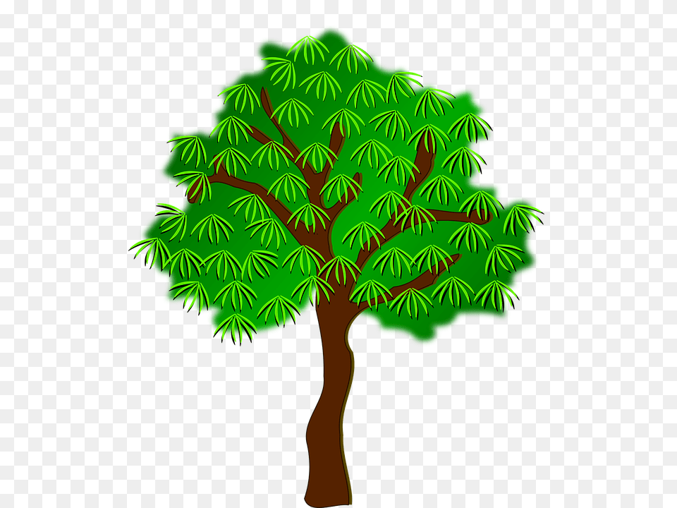 Clip Art Plant, Tree, Oak, Sycamore Png