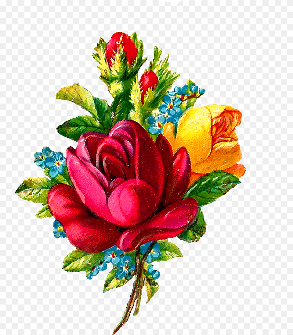 Clip Art, Flower Arrangement, Plant, Floral Design, Flower Free Png Download