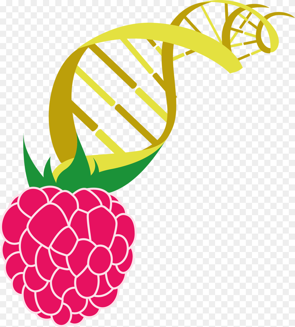 Clip Art, Berry, Food, Fruit, Plant Png Image