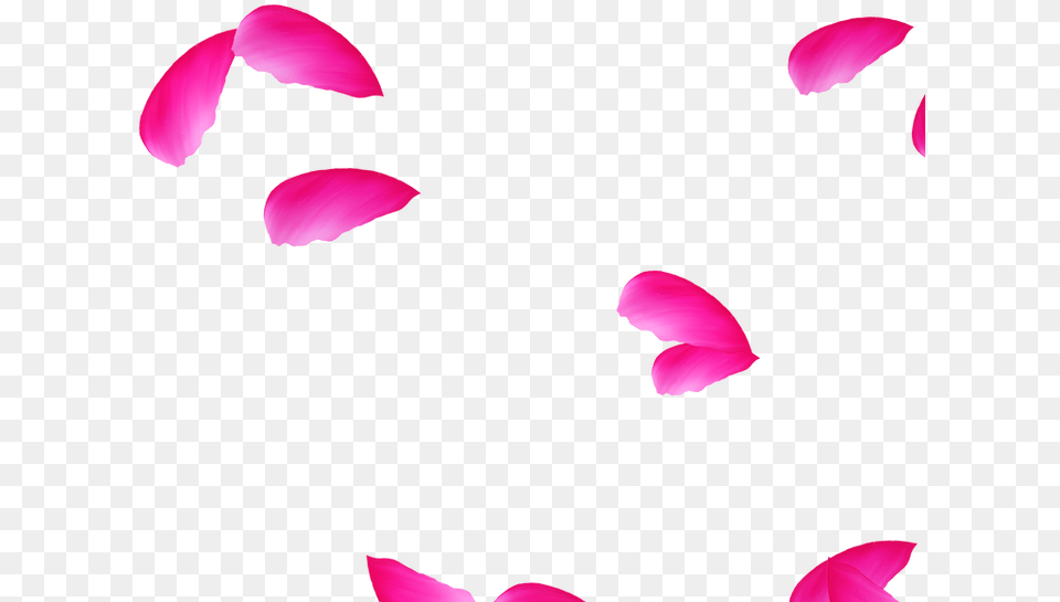 Clip Art, Flower, Petal, Plant Free Transparent Png