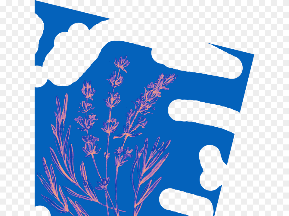 Clip Art, Pattern, Graphics, Plant, Flower Png