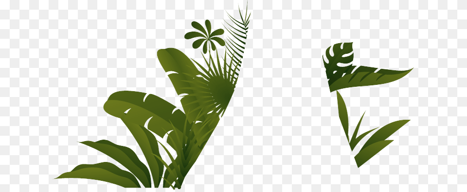 Clip Art, Green, Plant, Vegetation, Jungle Free Transparent Png
