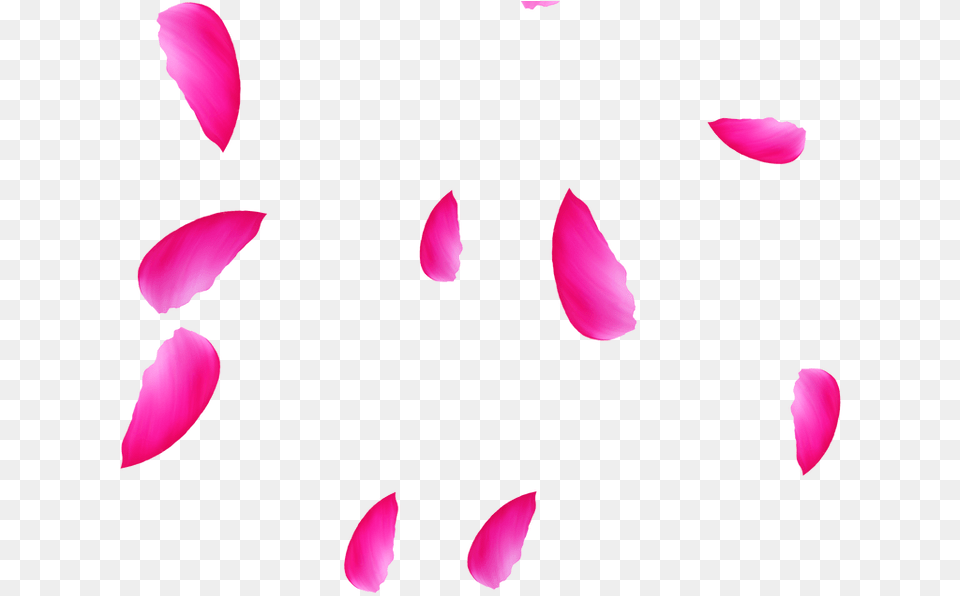 Clip Art, Flower, Petal, Plant Png Image