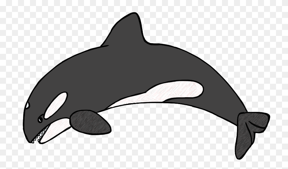 Clip Art, Animal, Sea Life, Mammal, Whale Free Png Download