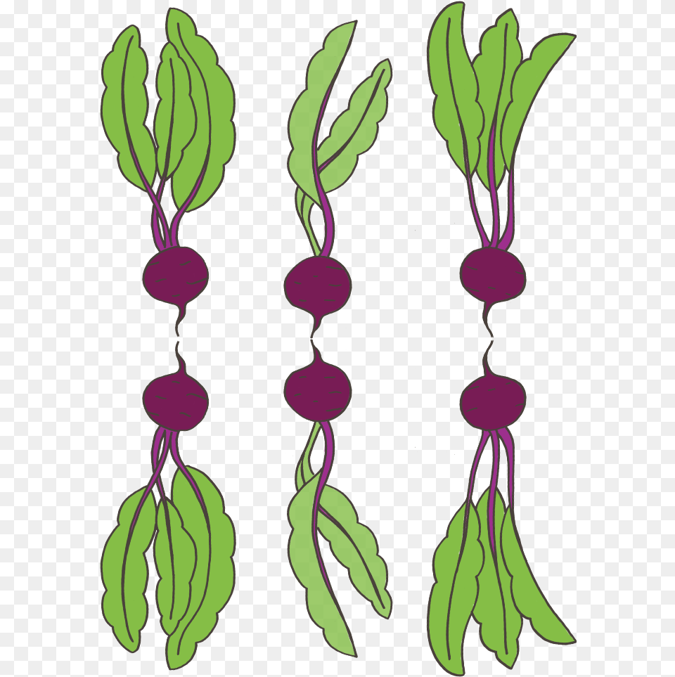 Clip Art, Purple, Food, Produce, Plant Free Transparent Png