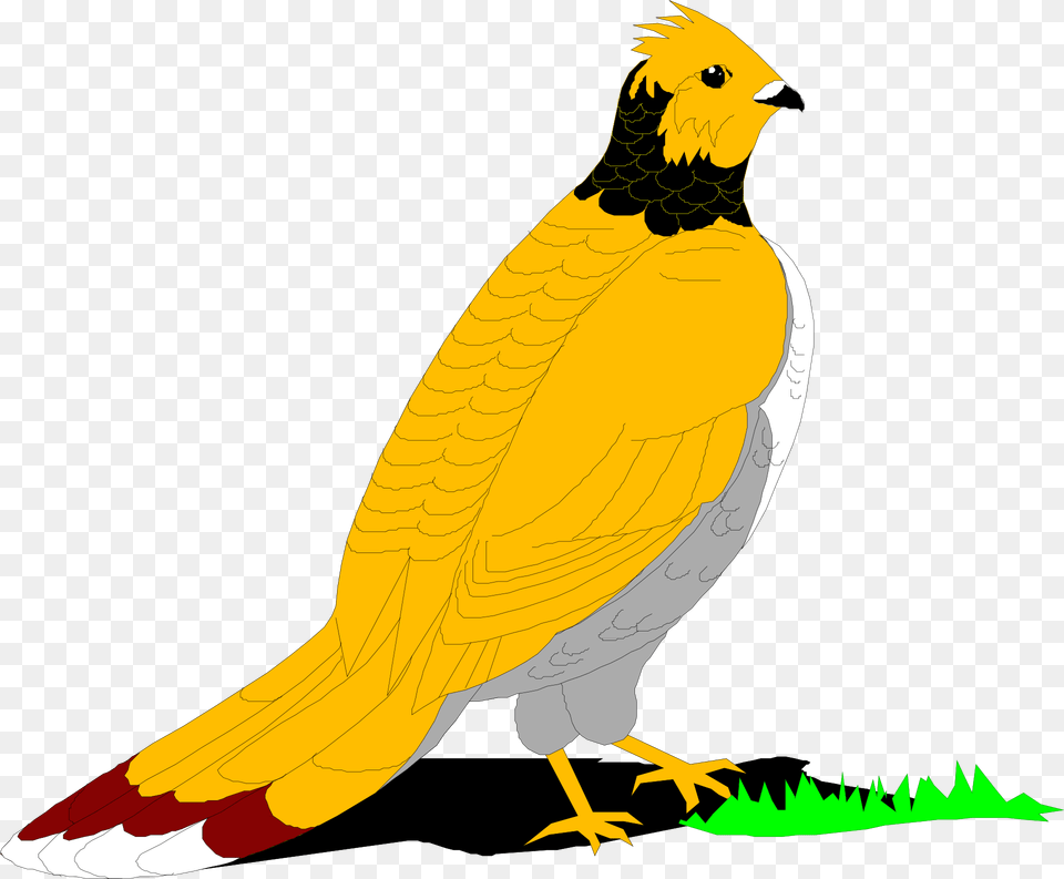 Clip Art, Animal, Bird Free Transparent Png