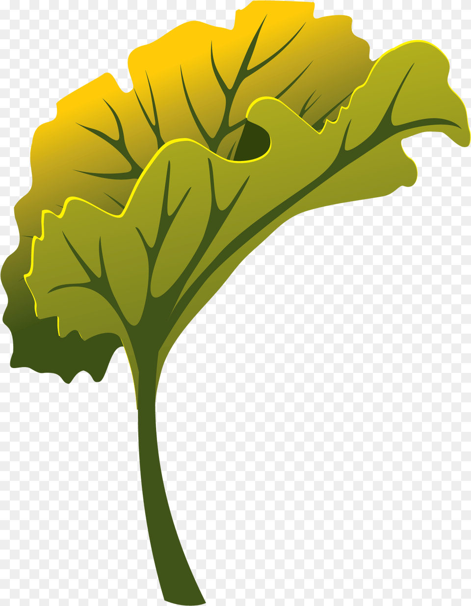Clip Art, Leaf, Plant, Flower, Geranium Free Transparent Png