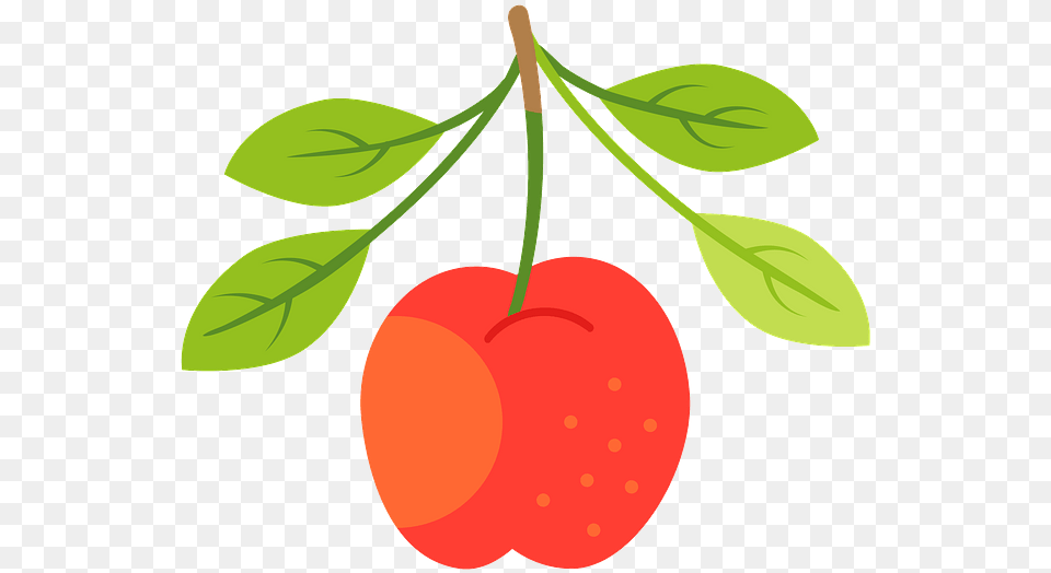 Clip Art, Berry, Food, Fruit, Plant Png Image