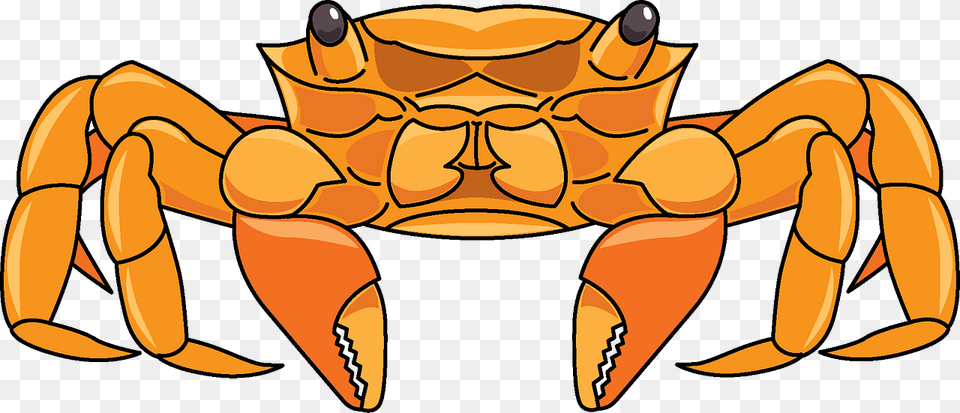 Clip Art, Seafood, Food, Animal, Sea Life Free Png