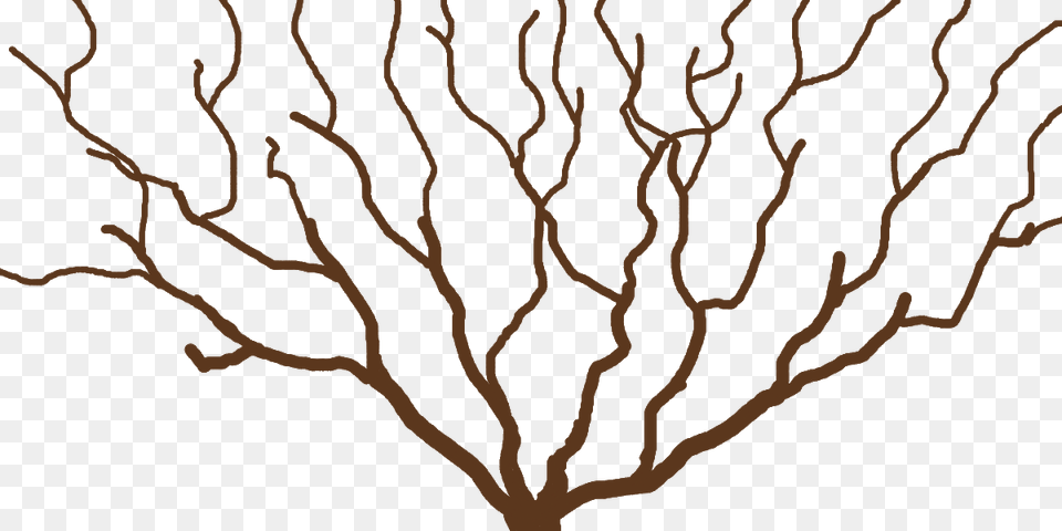 Clip Art, Plant, Tree Free Png Download