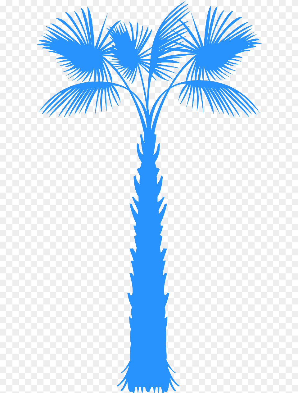 Clip Art, Palm Tree, Plant, Tree, Adult Free Transparent Png