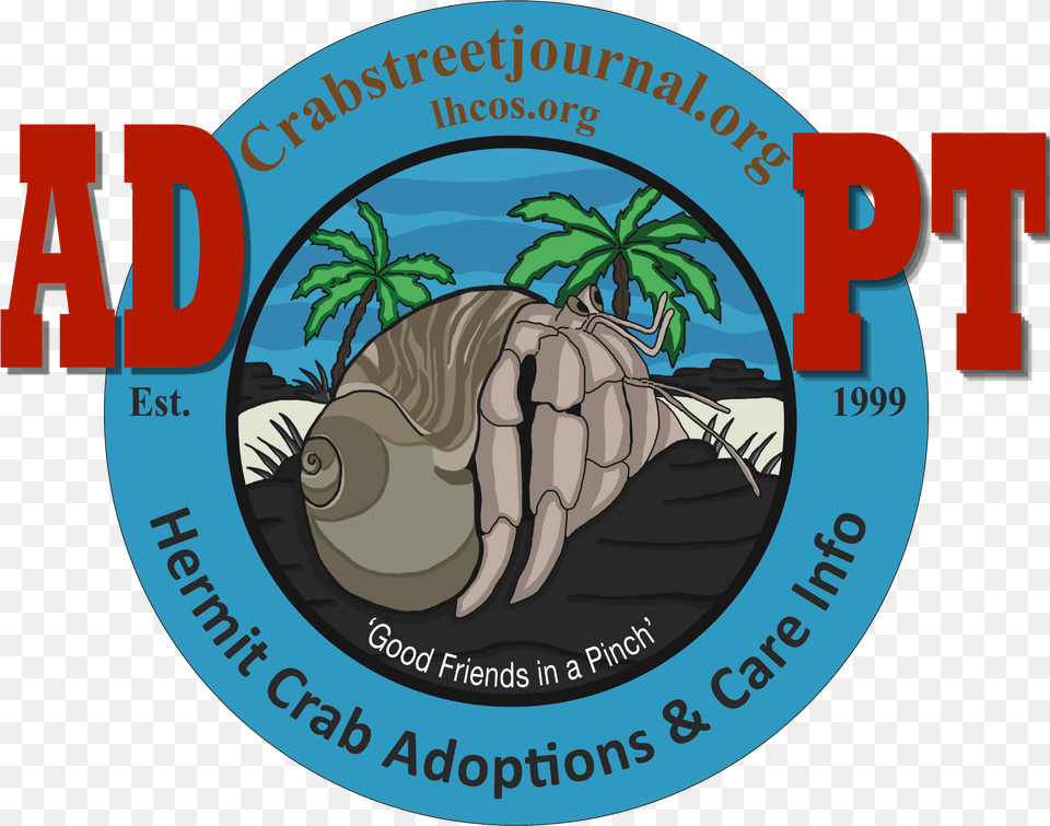 Clip Art, Animal, Sea Life Png
