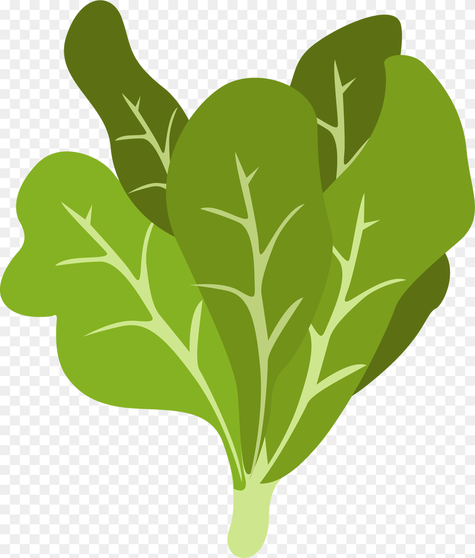 Clip Art, Food, Leaf, Plant, Produce Png