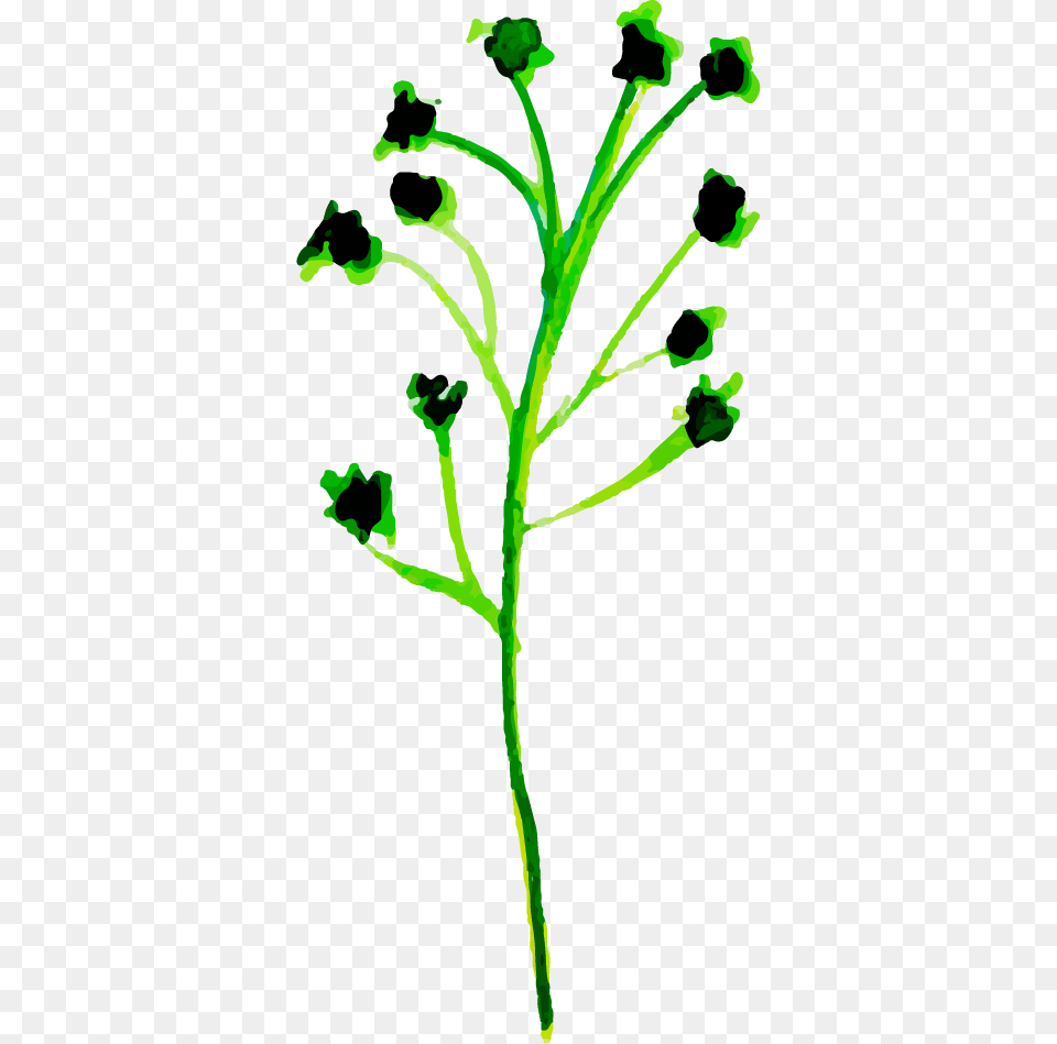 Clip Art, Green, Leaf, Plant, Herbal Free Png