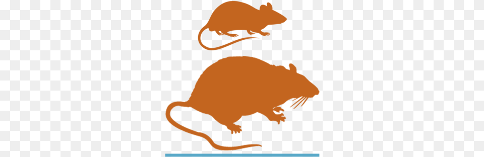 Clip Art, Animal, Mammal, Baby, Person Free Png Download