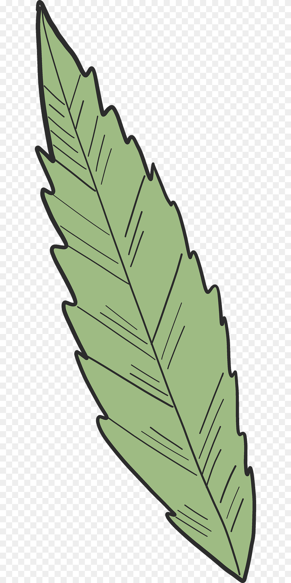 Clip Art, Leaf, Plant, Ammunition, Grenade Free Transparent Png