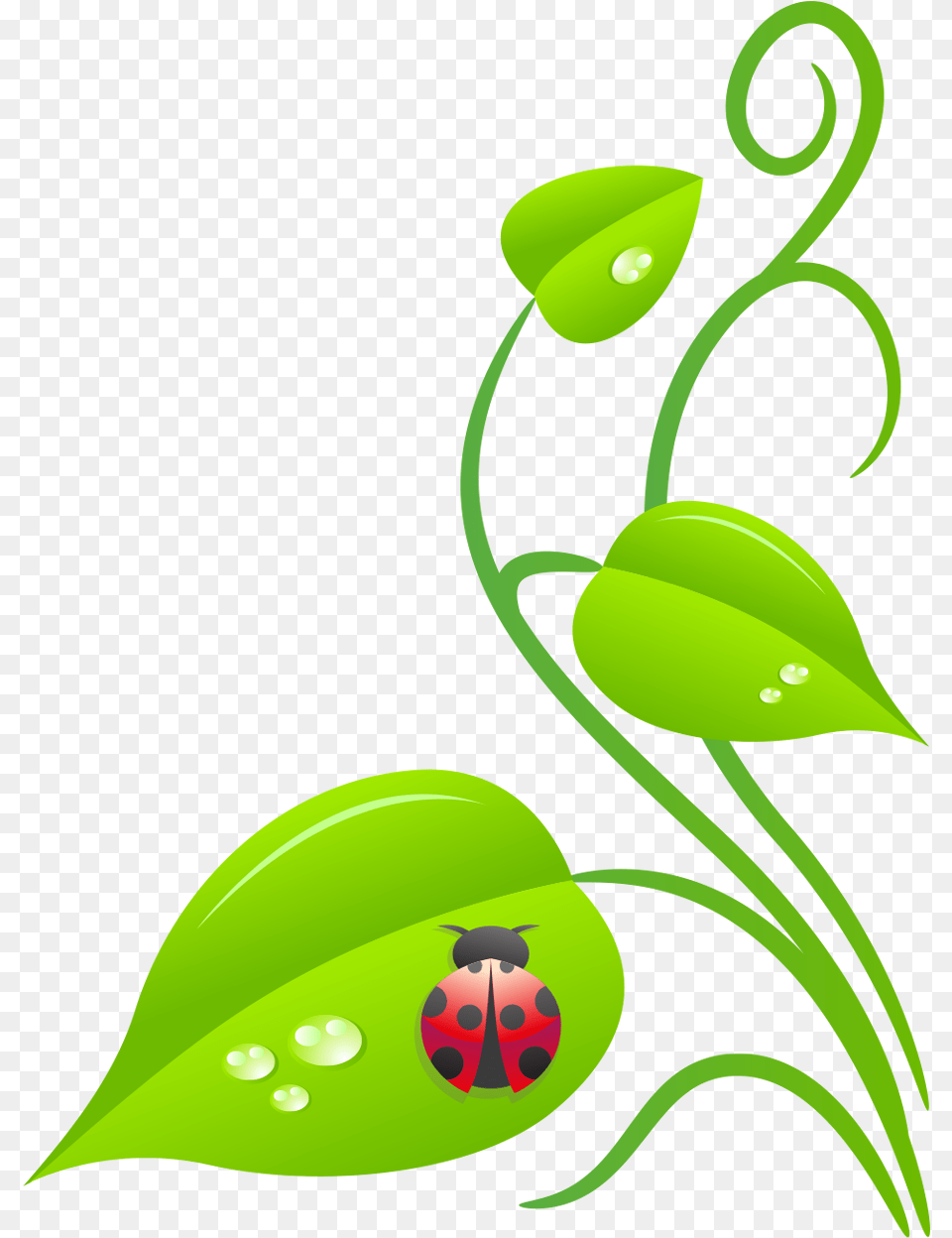 Clip Art, Floral Design, Pattern, Graphics, Plant Free Png Download