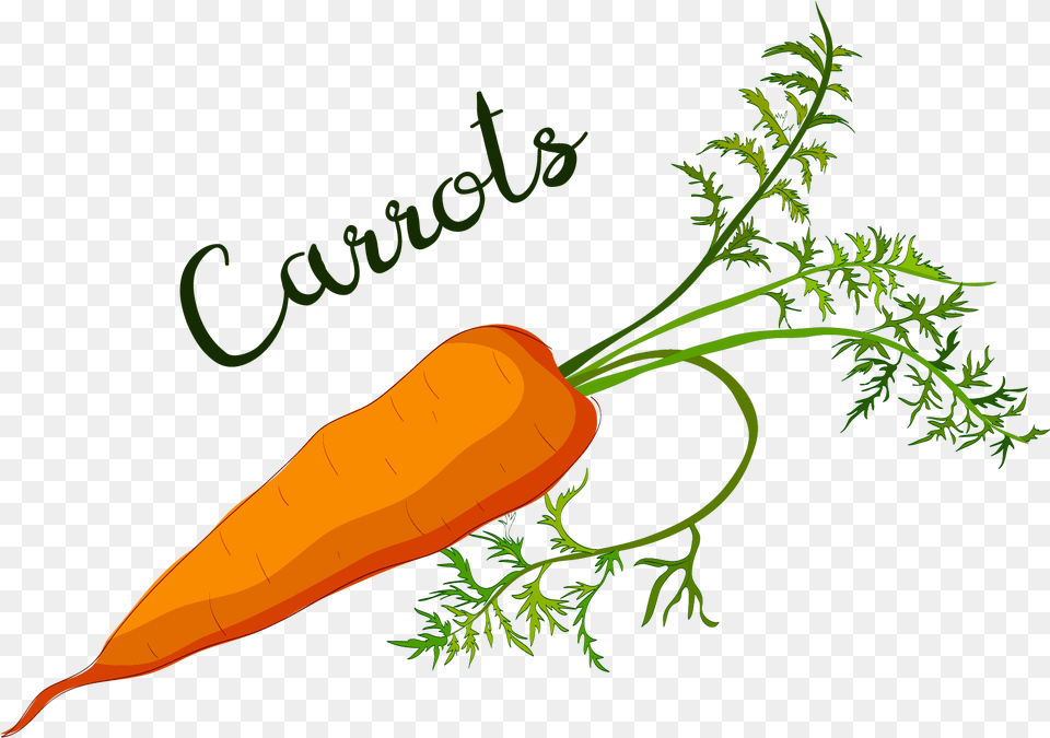 Clip Art 2010, Carrot, Food, Plant, Produce Free Png