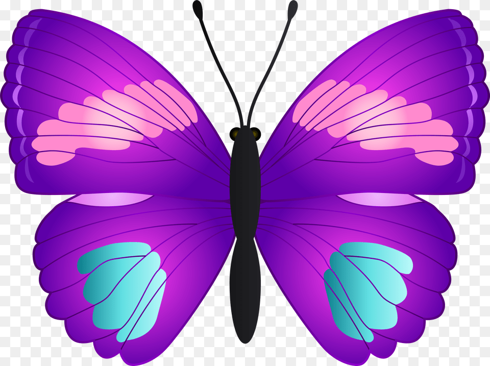 Clip Art, Purple, Animal, Butterfly, Insect Free Transparent Png