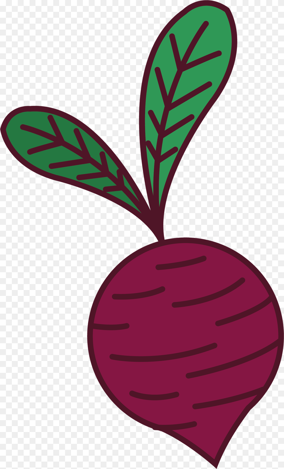 Clip Art, Leaf, Plant, Food, Fruit Png