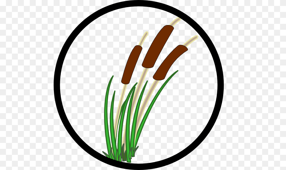 Clip Art, Plant, Reed, Smoke Pipe Png Image