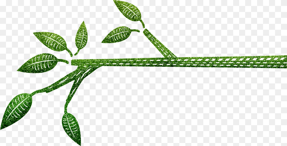 Clip Art, Vine, Plant, Leaf, Green Free Transparent Png