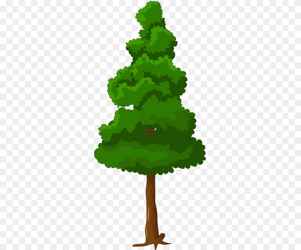 Clip Art, Tree, Plant, Pine, Conifer Png Image