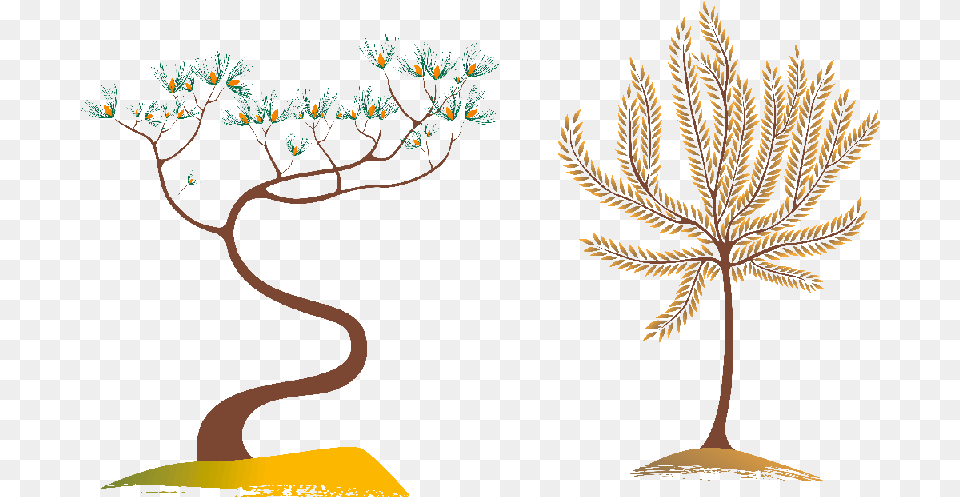 Clip Art, Plant, Tree, Pattern, Drawing Png