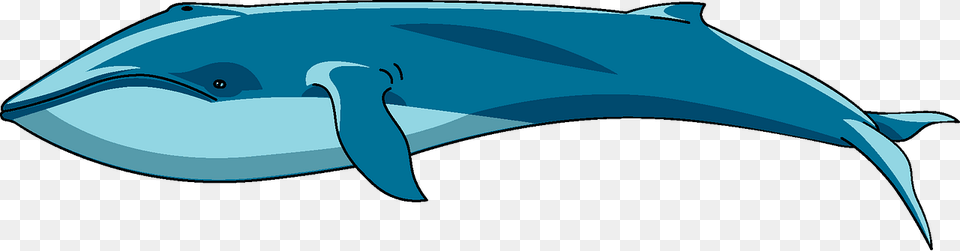 Clip Art, Animal, Mammal, Sea Life, Whale Png