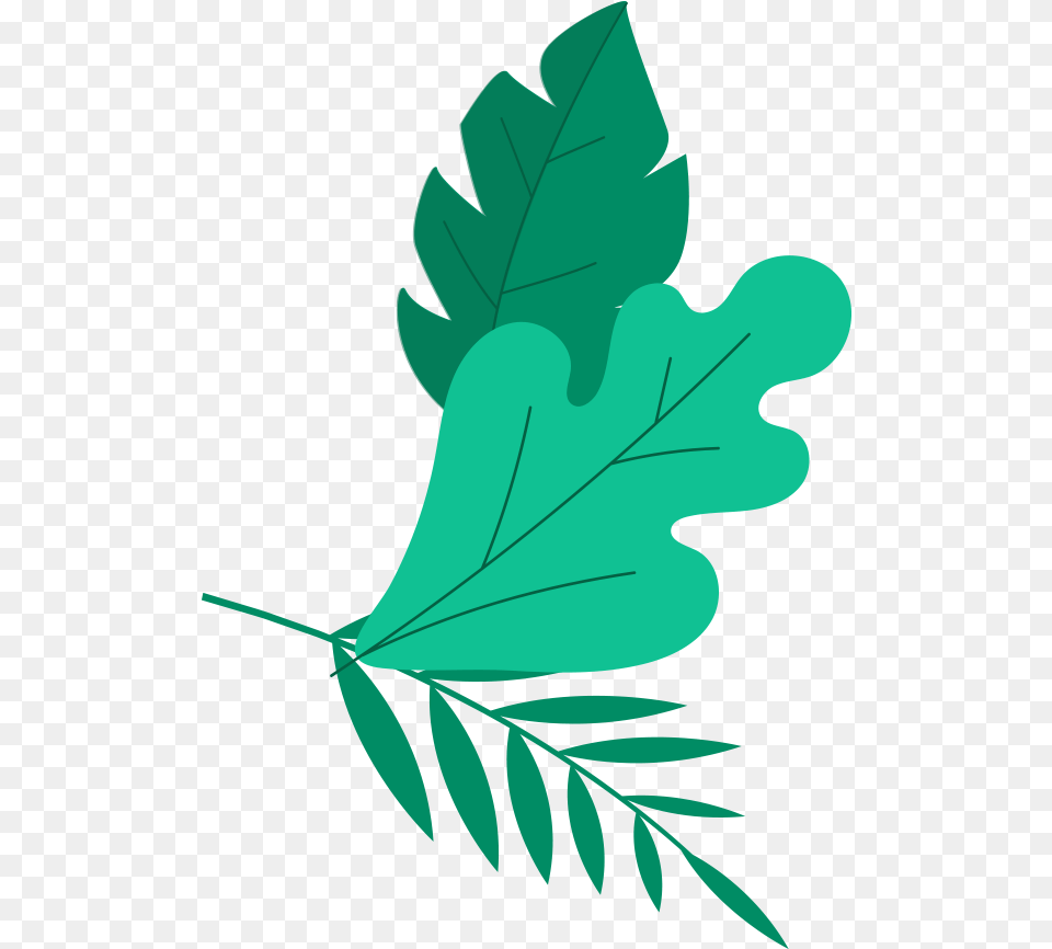Clip Art, Leaf, Plant, Tree, Person Free Png
