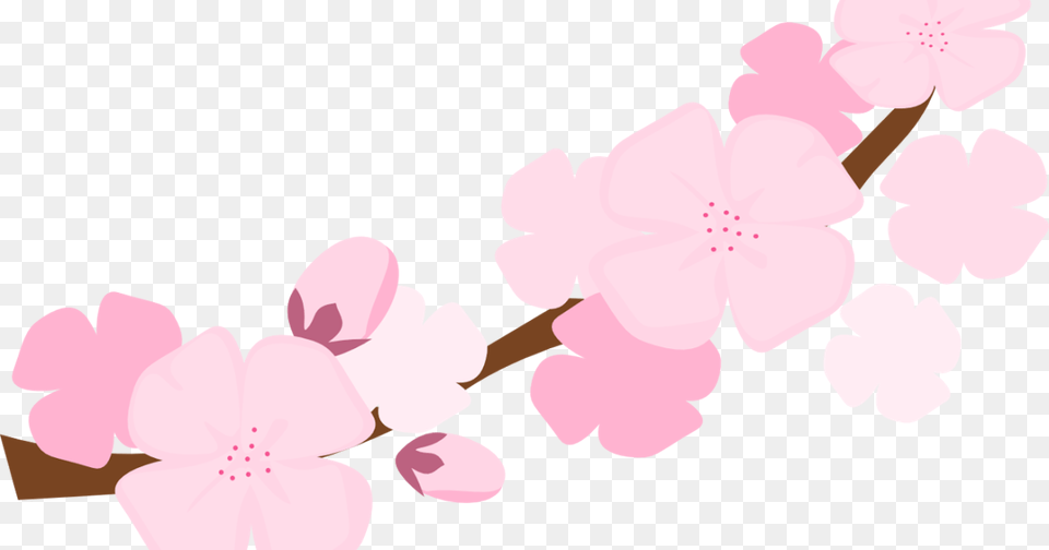 Clip Art, Flower, Plant, Cherry Blossom, Petal Free Png Download