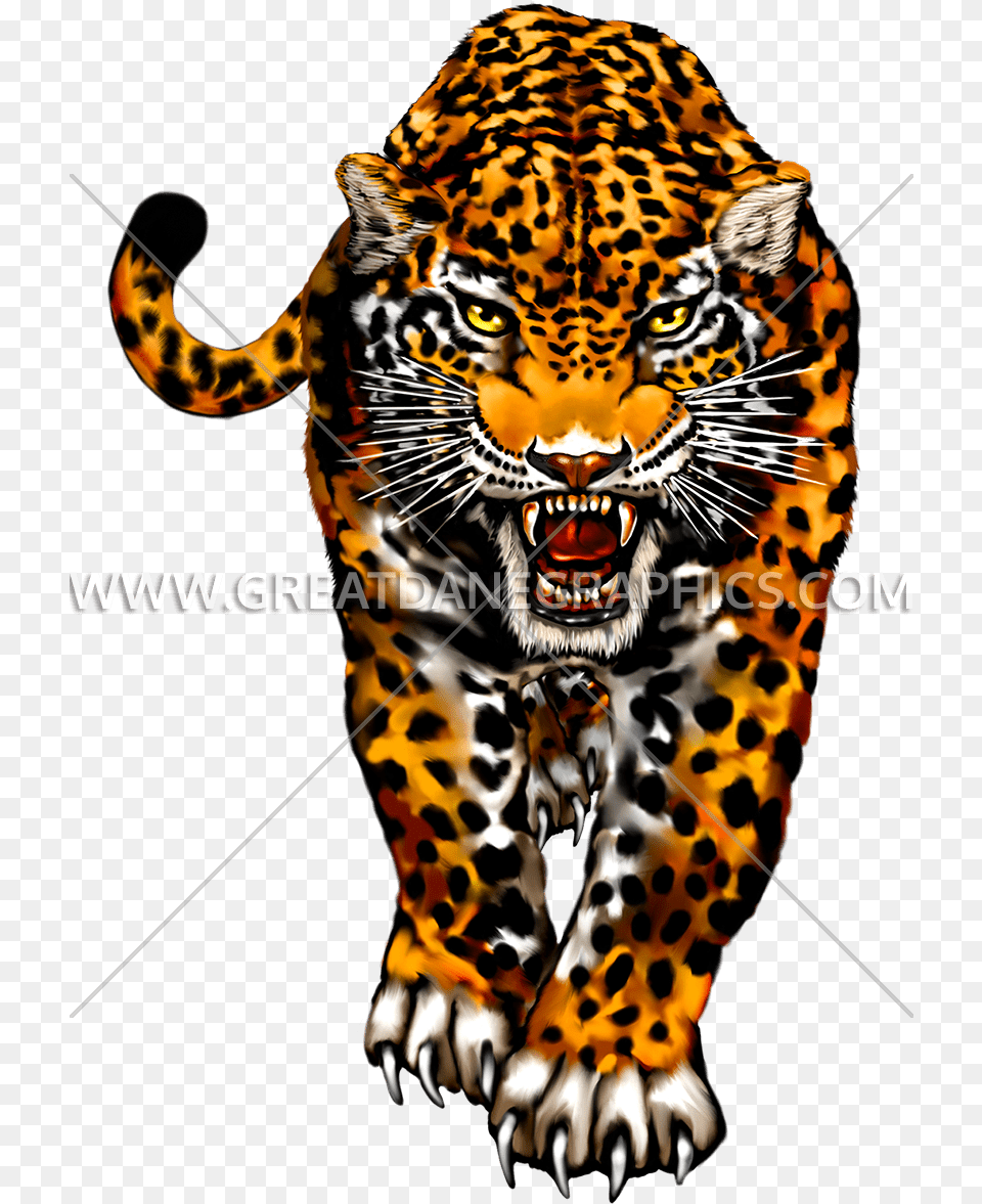 Clip Art, Animal, Mammal, Panther, Wildlife Free Png Download