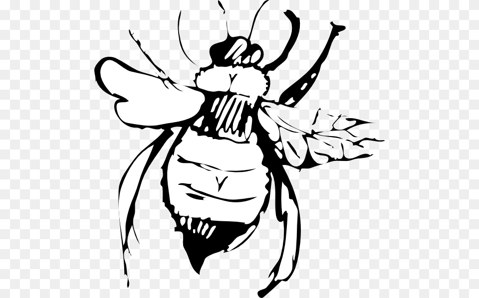 Clip Art, Stencil, Animal, Invertebrate, Insect Png Image