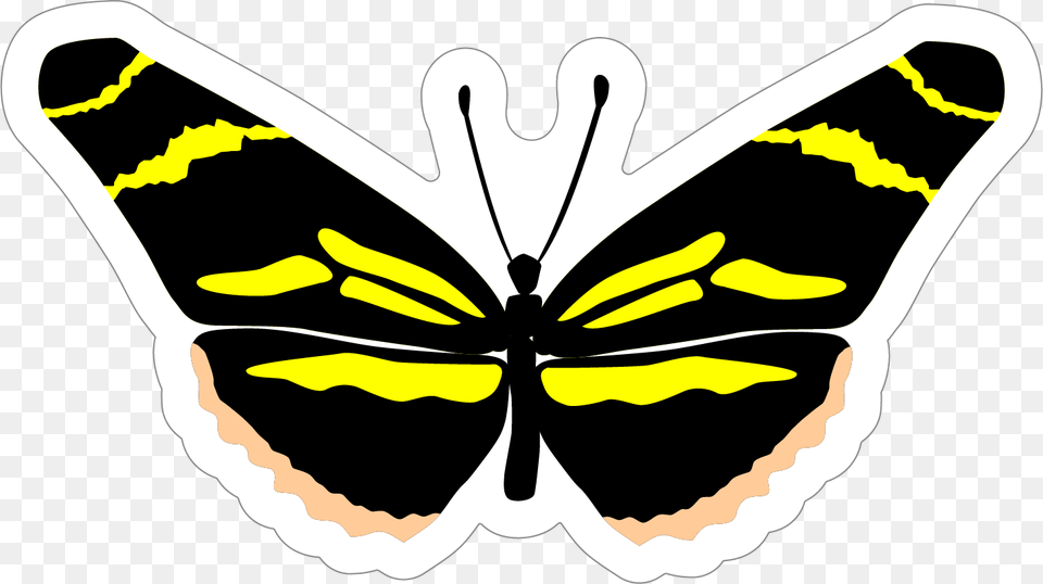 Clip Art, Animal, Butterfly, Insect, Invertebrate Free Png Download