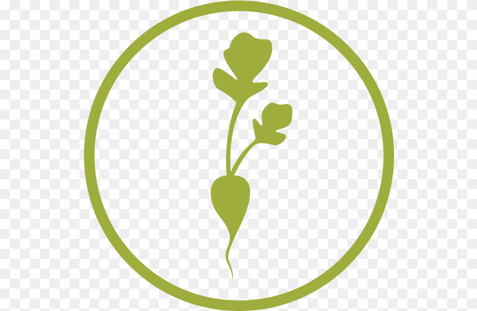 Clip Art, Leaf, Plant, Sprout Png Image