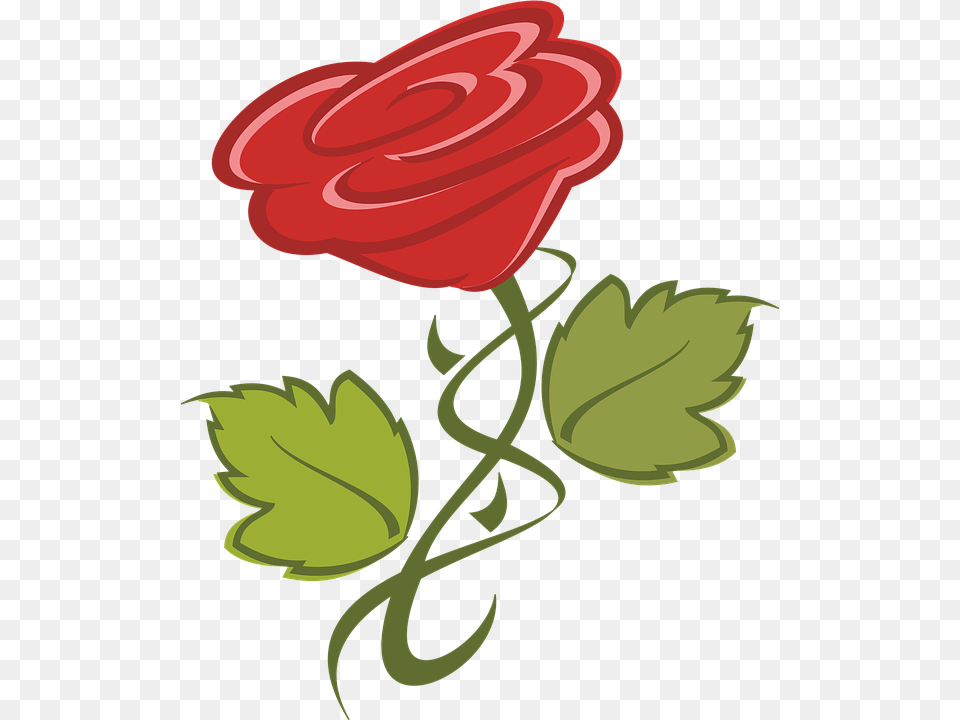 Clip Art, Flower, Plant, Rose, Dynamite Free Transparent Png