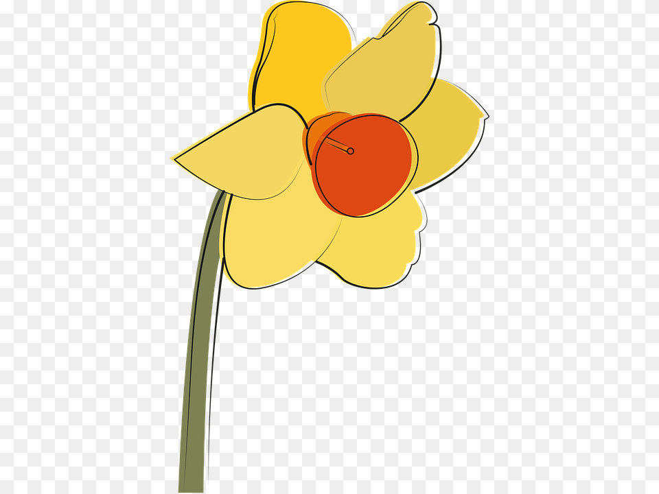 Clip Art, Daffodil, Flower, Plant, Person Png