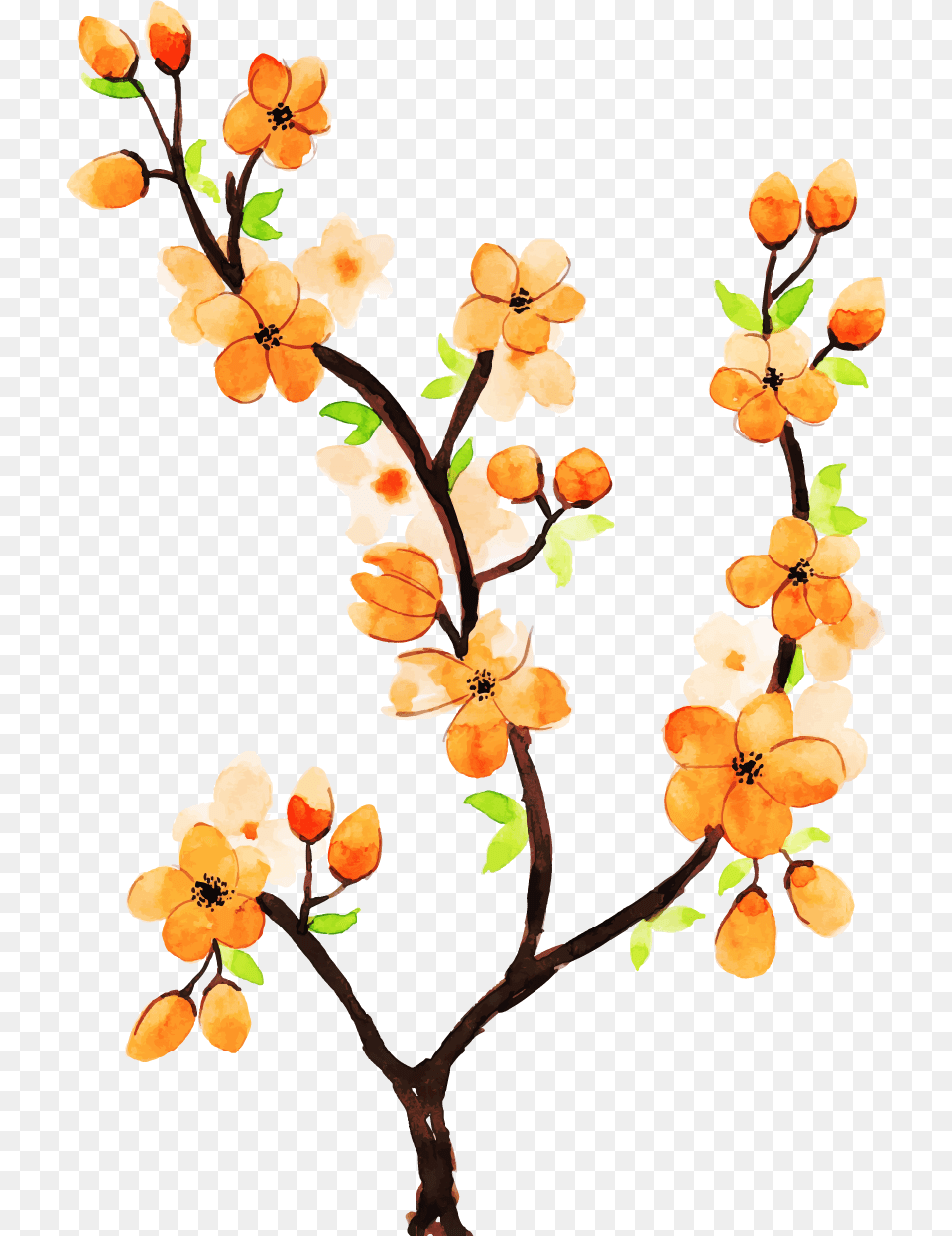 Clip Art, Flower, Plant Free Transparent Png