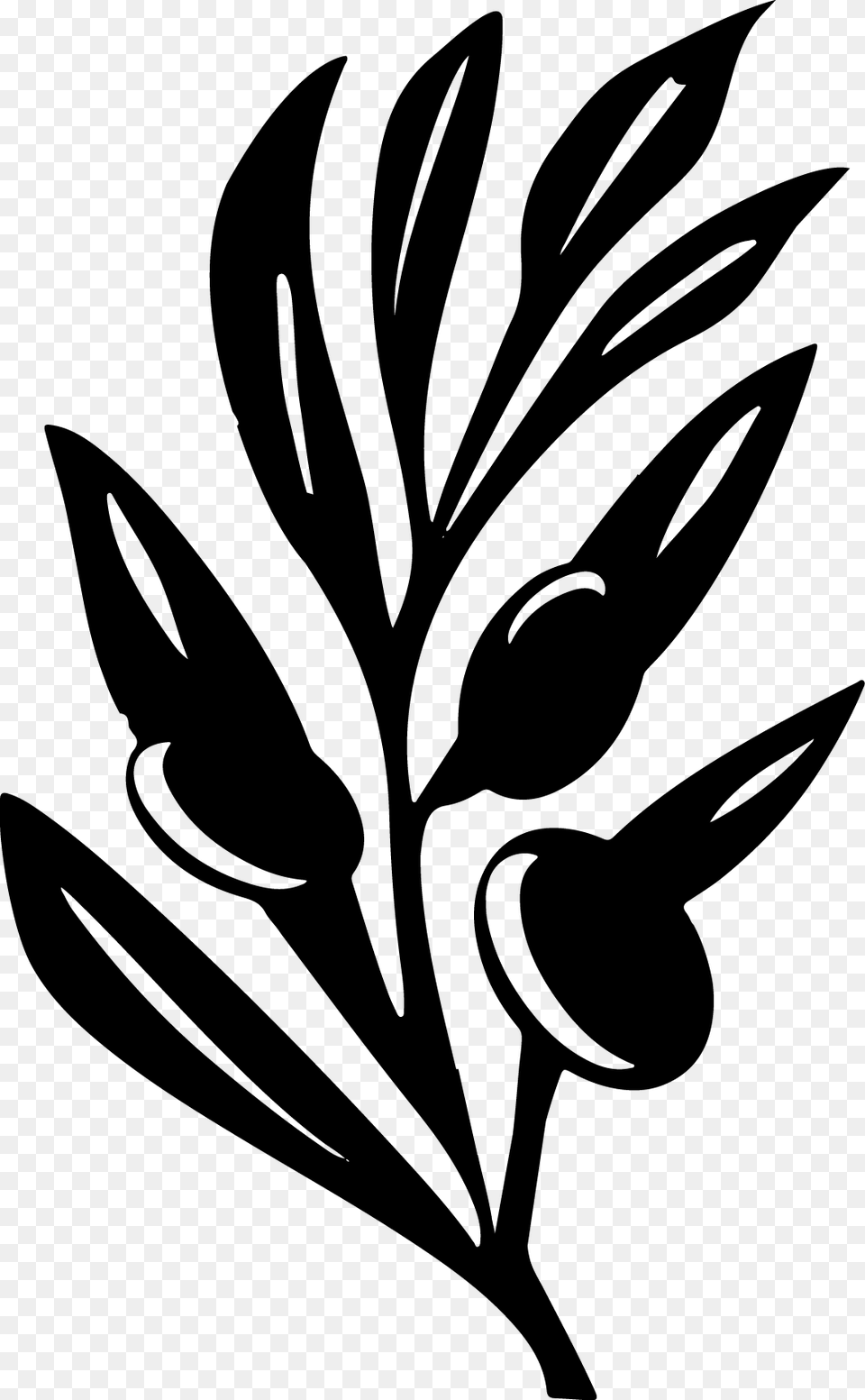 Clip Art, Stencil, Plant, Leaf, Herbs Free Transparent Png