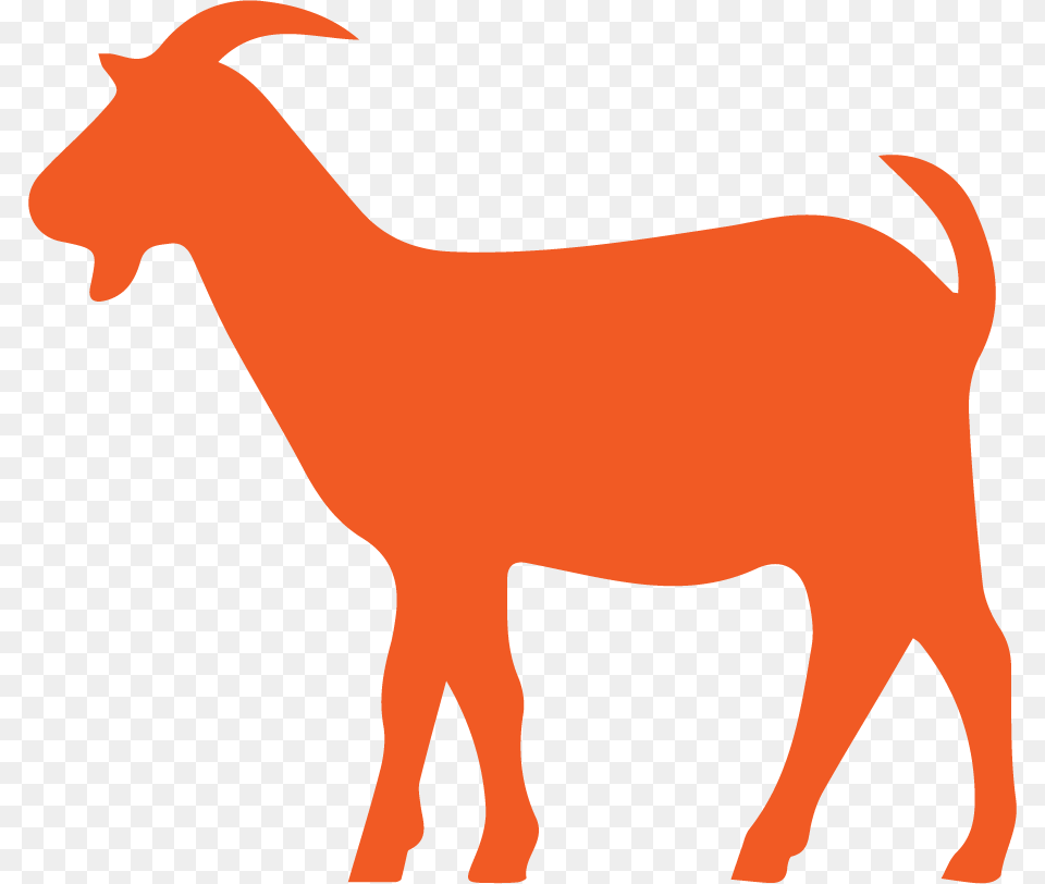 Clip Art, Livestock, Animal, Goat, Mammal Png