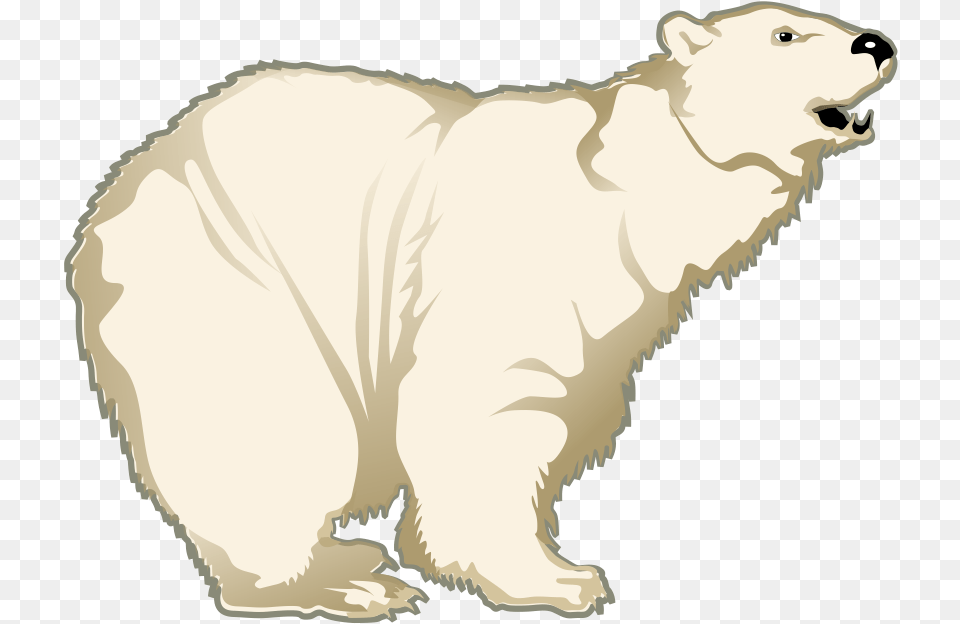 Clip Art, Animal, Mammal, Wildlife, Bear Free Transparent Png