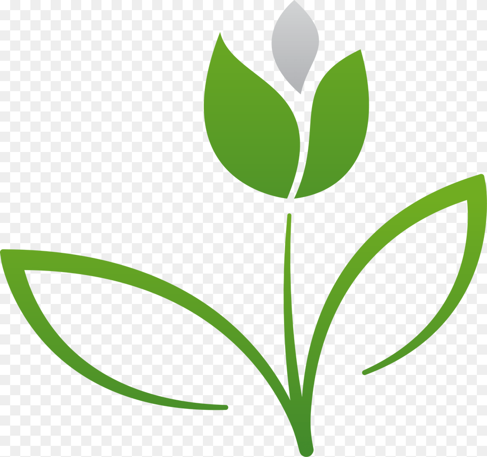 Clip Art, Bud, Flower, Leaf, Plant Free Transparent Png