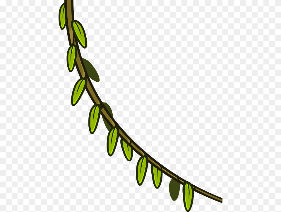 Clip Art, Leaf, Plant, Vine, Green Png