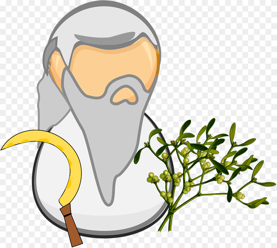 Clip Art, Animal, Beak, Bird, Plant Png