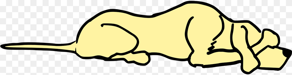 Clip Art, Animal, Fish, Mammal, Sea Life Free Transparent Png