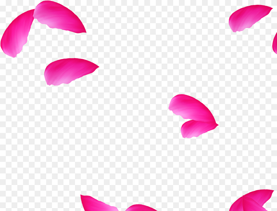 Clip Art, Flower, Petal, Plant Free Png