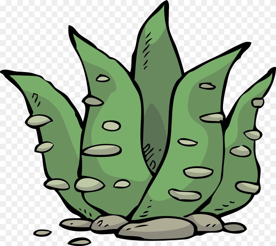 Clip Art, Leaf, Plant, Fern, Baby Png Image