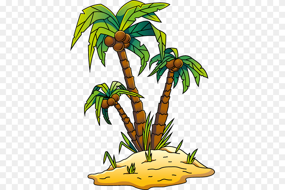 Clip Art, Plant, Vegetation, Palm Tree, Tree Free Png Download