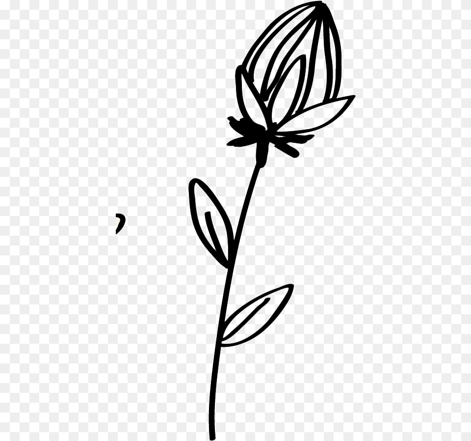 Clip Art, Flower, Plant, Drawing, Petal Png