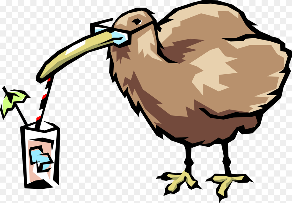 Clip Art, Animal, Beak, Bird, Kiwi Bird Free Transparent Png